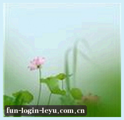 孙鹏